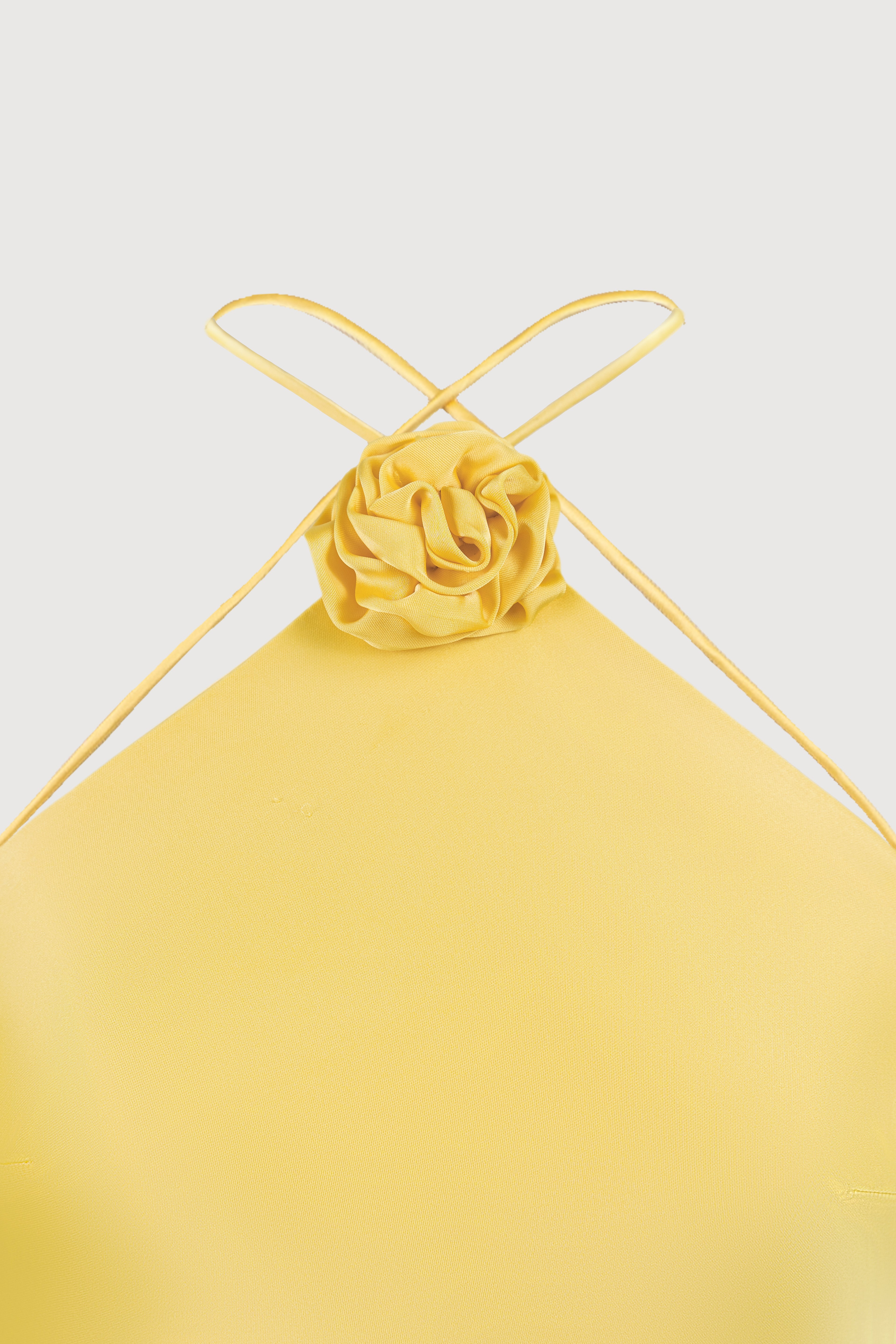Neriss Dress